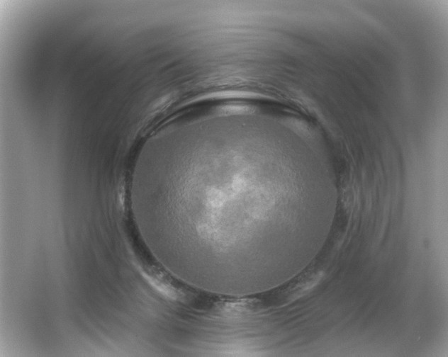 X0000063530072200601231552