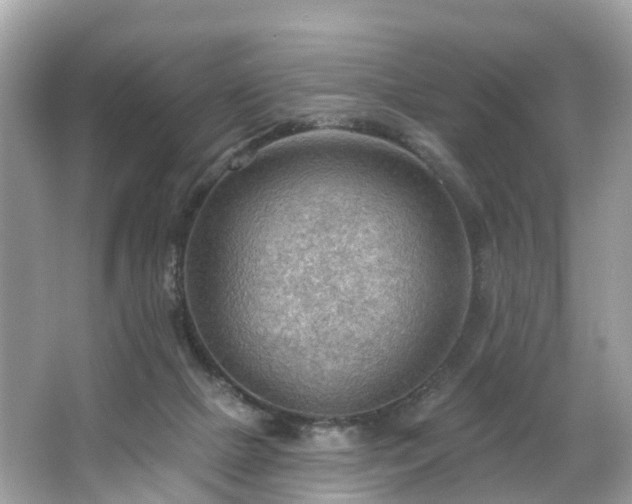 X0000063530073200601231552