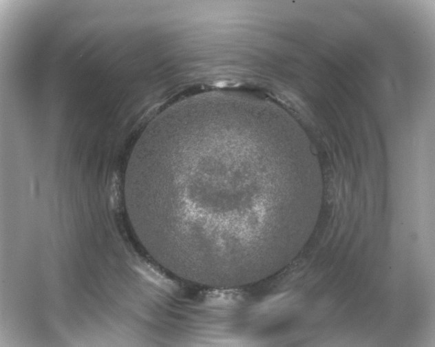 X0000063530077200601231553