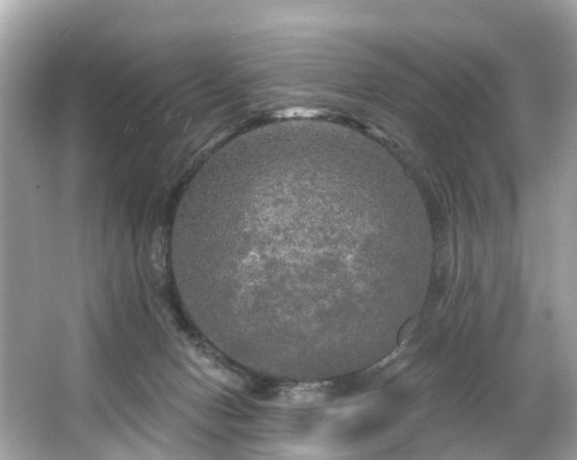 X0000063530078200601231553