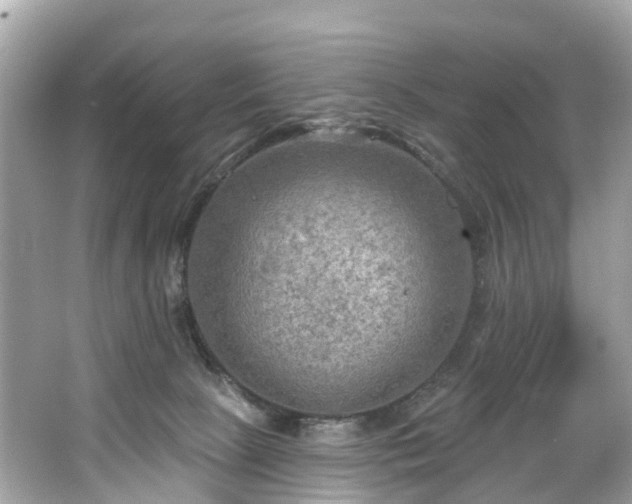 X0000063530081200601231553