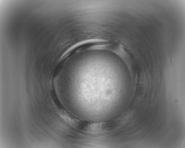 X0000063530084200601231553