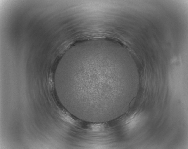 X0000063530085200601231553