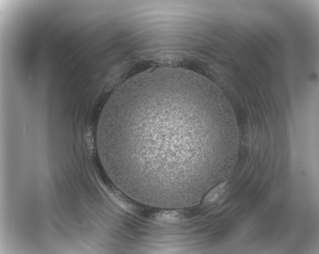 X0000063530086200601231553