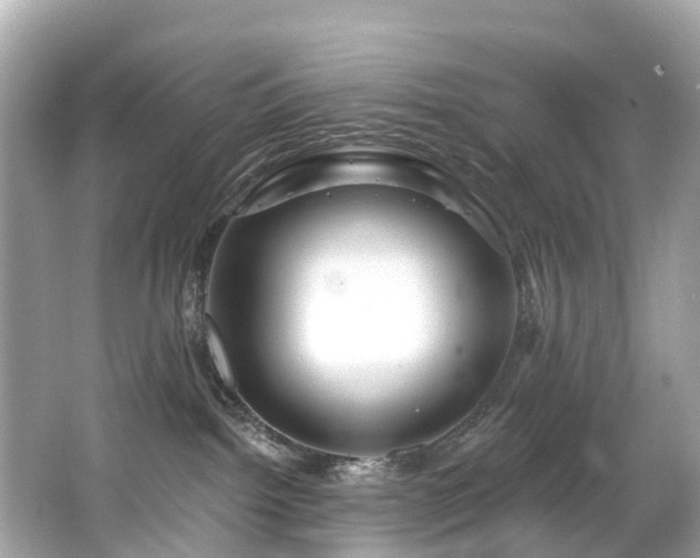 X0000063530092200601231553