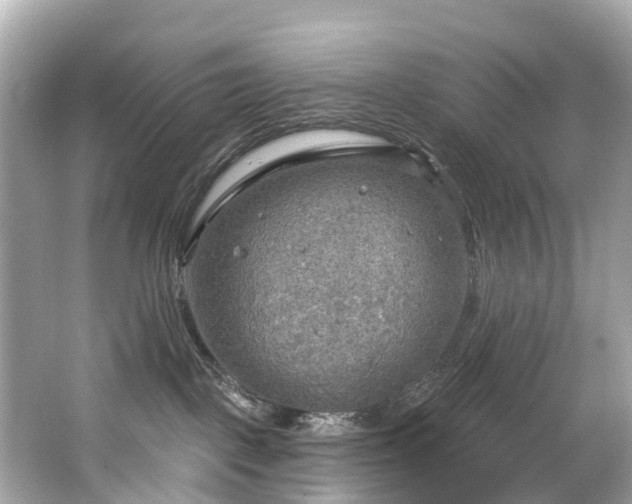 X0000063530093200601231553