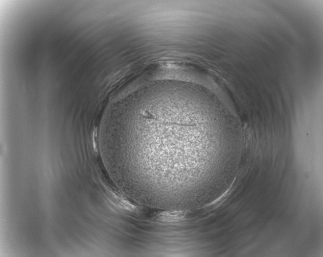 X0000063530094200601231553