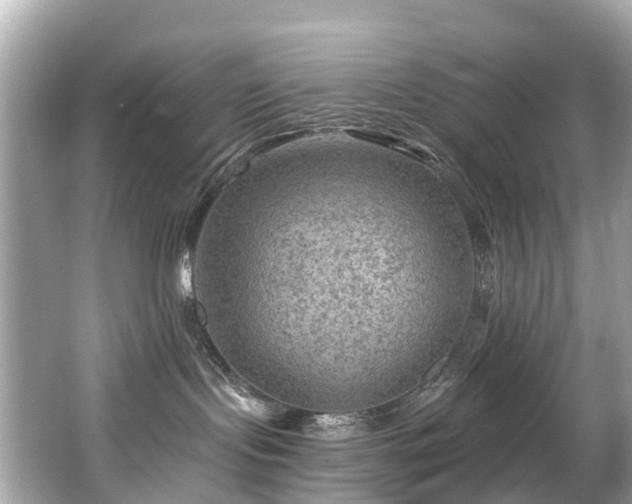 X0000063530095200601231553