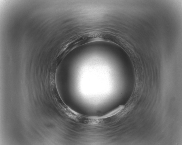 X0000063530096200601231553