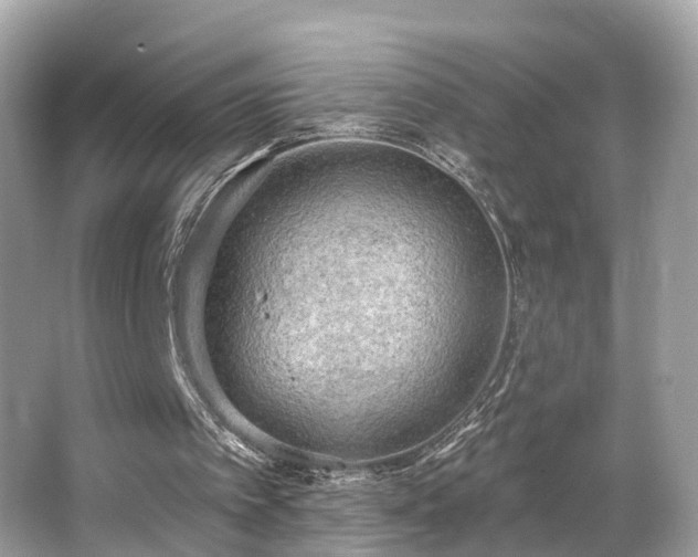 X0000063530097200601231552