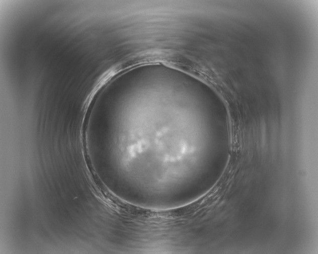 X0000063530099200601231552