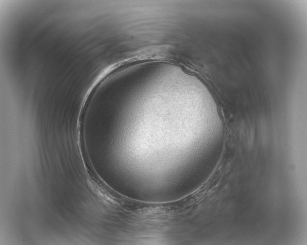 X0000063530100200601231552