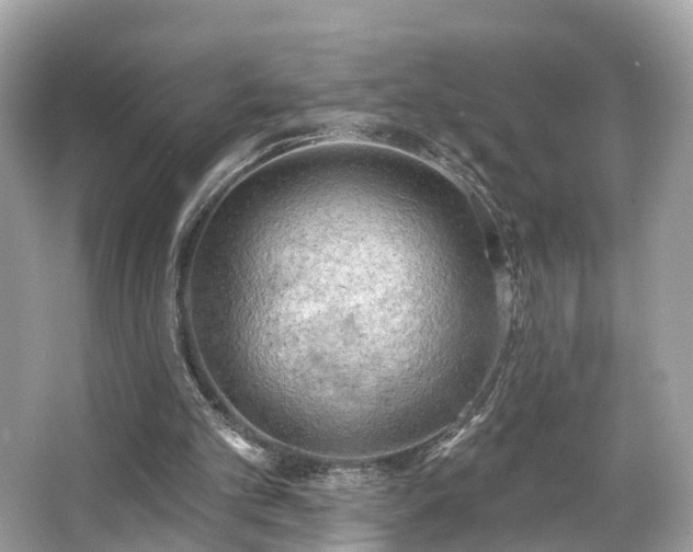 X0000063530101200601231552