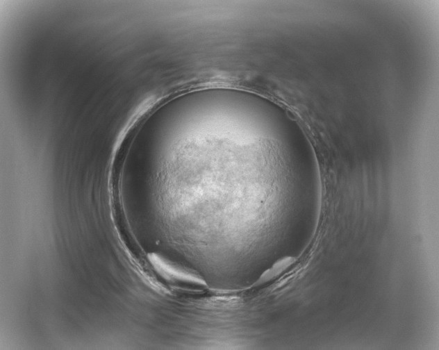 X0000063530102200601231552