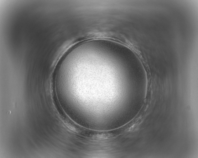 X0000063530103200601231552