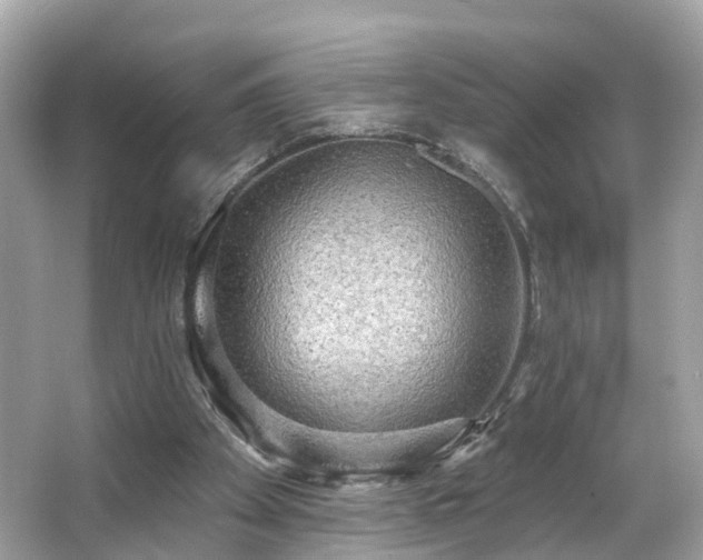 X0000063530105200601231552