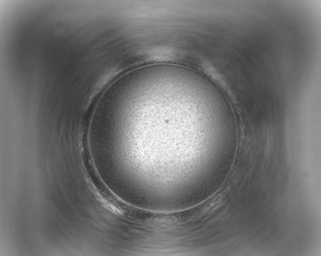 X0000063530106200601231552