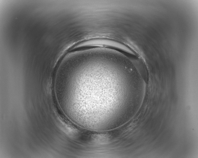 X0000063530107200601231552