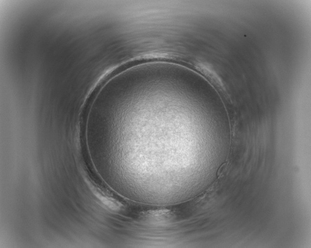 X0000063530108200601231552