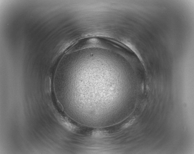 X0000063530109200601231552