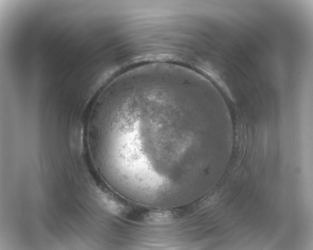 X0000063530110200601231552