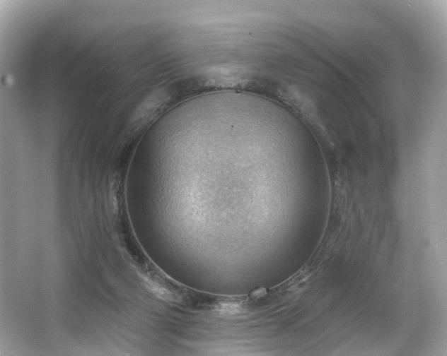 X0000063530114200601231552