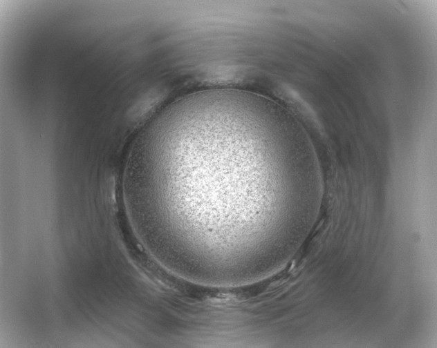 X0000063530115200601231552