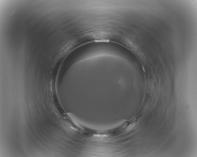 X0000063530117200601231552