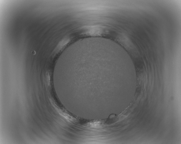 X0000063530120200601231552