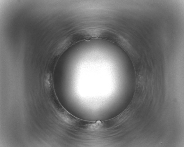 X0000063530122200601231552