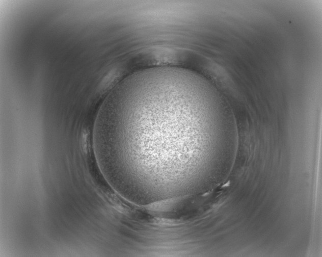 X0000063530123200601231552