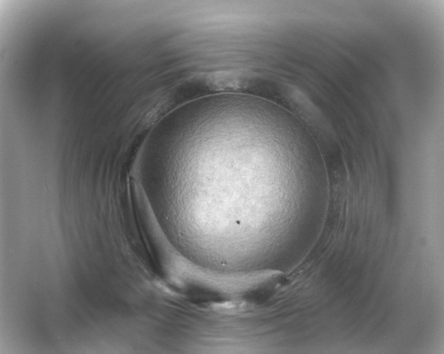 X0000063530125200601231552