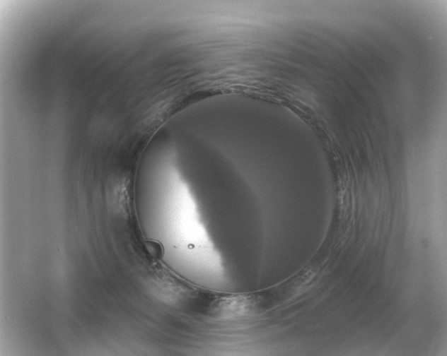 X0000063530127200601231552