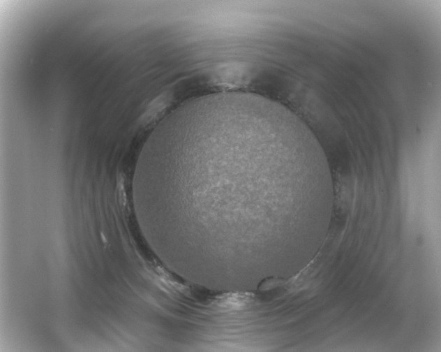 X0000063530128200601231552