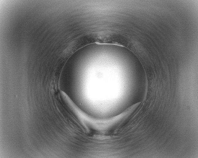 X0000063530129200601231552