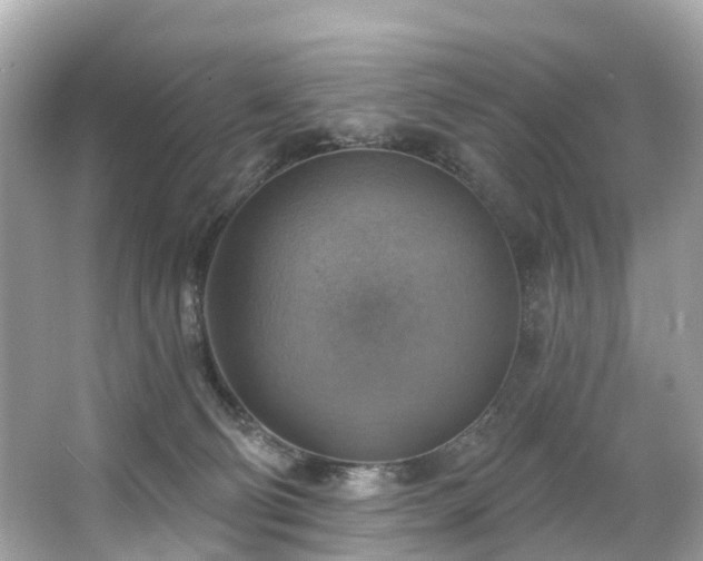 X0000063530130200601231552