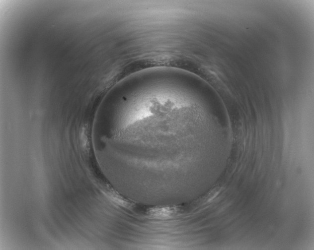 X0000063530131200601231551