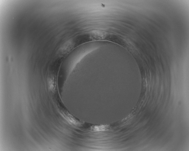 X0000063530134200601231551