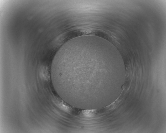 X0000063530136200601231551