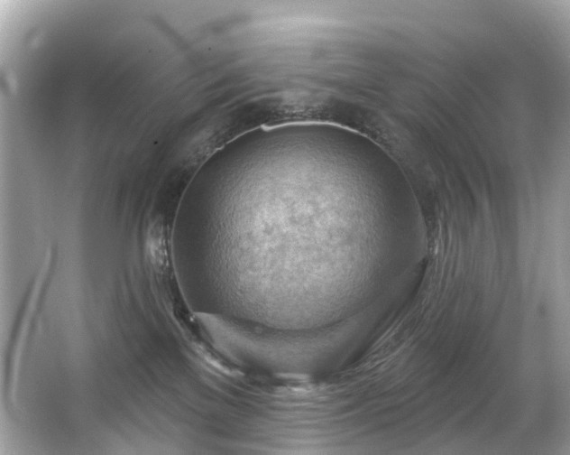 X0000063530137200601231551