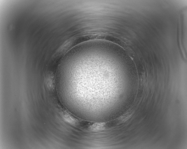 X0000063530138200601231551