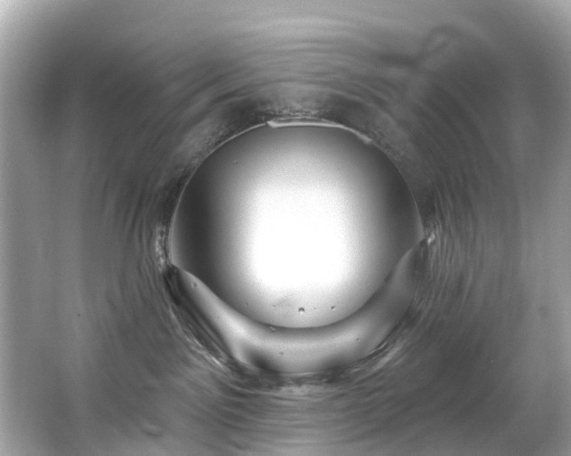 X0000063530141200601231551