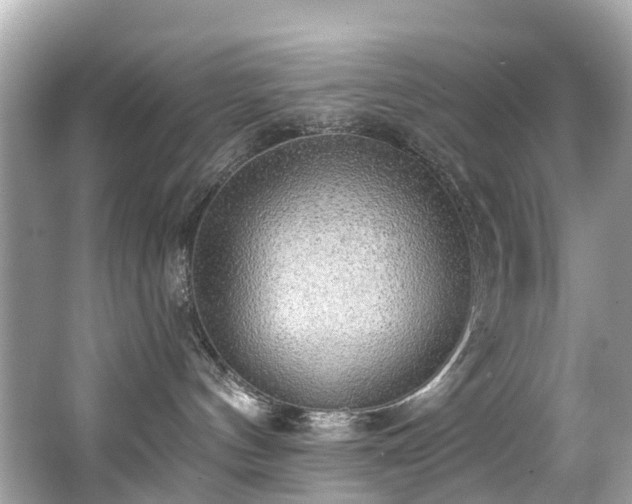 X0000063530144200601231551