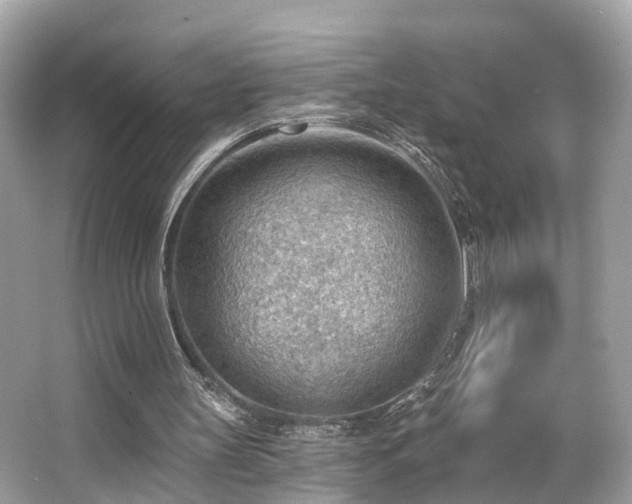 X0000063530147200601231550