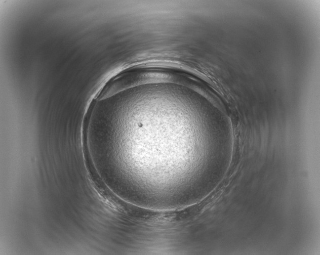 X0000063530148200601231551