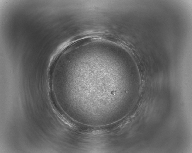 X0000063530149200601231551