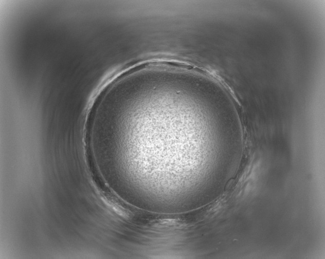 X0000063530151200601231551