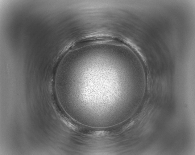 X0000063530153200601231551