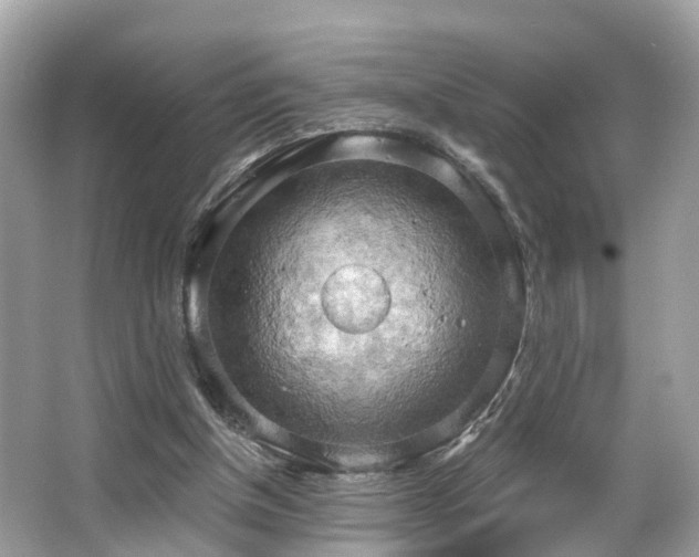 X0000063530154200601231551