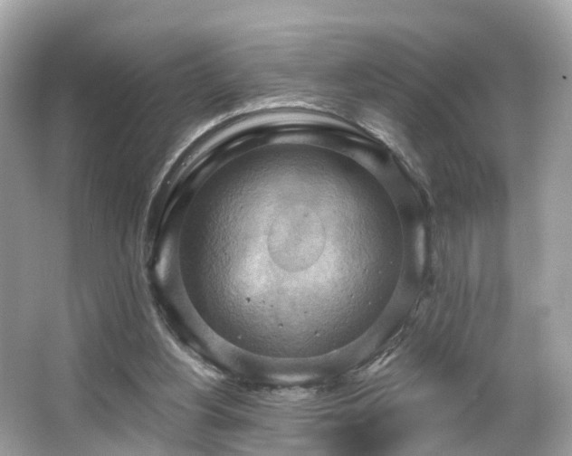 X0000063530156200601231551